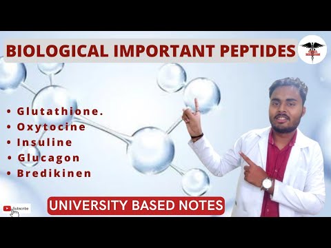 Biological Important Peptides|| Glutathione , Vasopressin, Gastrin , Oxytocin, Insulin , Glucagon