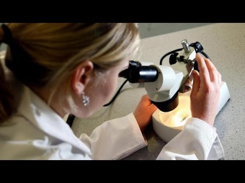 stem-cells-trial-to-help-diabetes-patients-with-kidney-disease