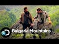 Venison dinner in the bulgarian mountains  kings of the wild