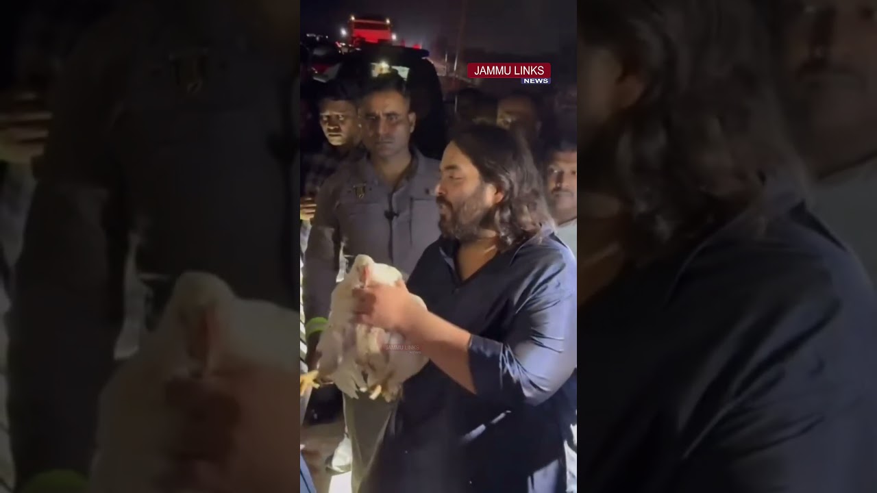 Anant Ambani saves chickens from slaughter during his 'padyatra'; video goes viral