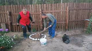 Приехали домой. Садим пионы и многое другое.