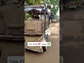 Tata , Eicher, Ashok Leyland কম্পানির মাতাত ডাং পোরিছে #shorts #minivlog