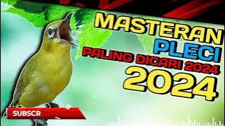 MASTERAN PLECI PALING DICARI 2024 //  ADA JEDA TEMBAKAN SPEED DAN LELAH // #masteranpleci