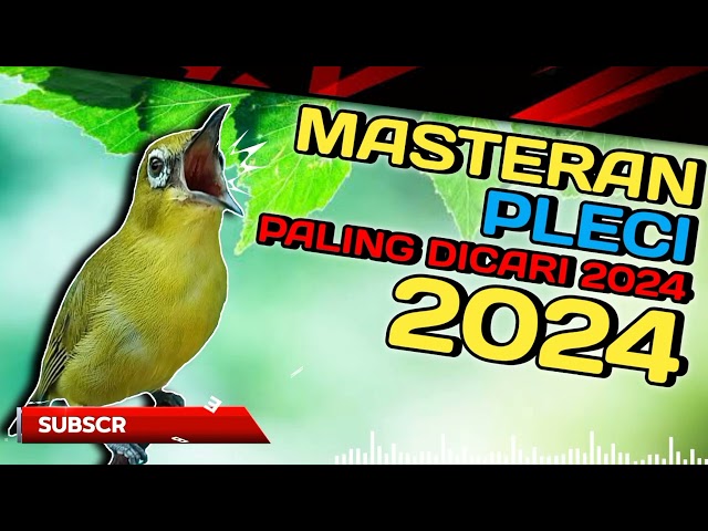 MASTERAN PLECI PALING DICARI 2024 //  ADA JEDA TEMBAKAN SPEED DAN LELAH // #masteranpleci class=