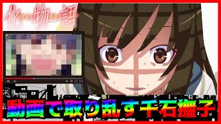 千石撫子 動画と気づかず大はしゃぎ 化物語オーディオコメンタリー なでこスネイク文字起こし 花澤香菜 櫻井孝宏 Youtube 千石撫子 動画と気づかず大はしゃぎ 化物語オーディオコメンタリー なでこスネイク文字起こし 花澤香菜 櫻井孝宏 Youtube