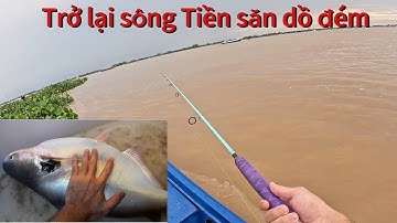 Câu cá dồ đém sông Tiền ( đụng độ cá bự) - K.Fishing #80