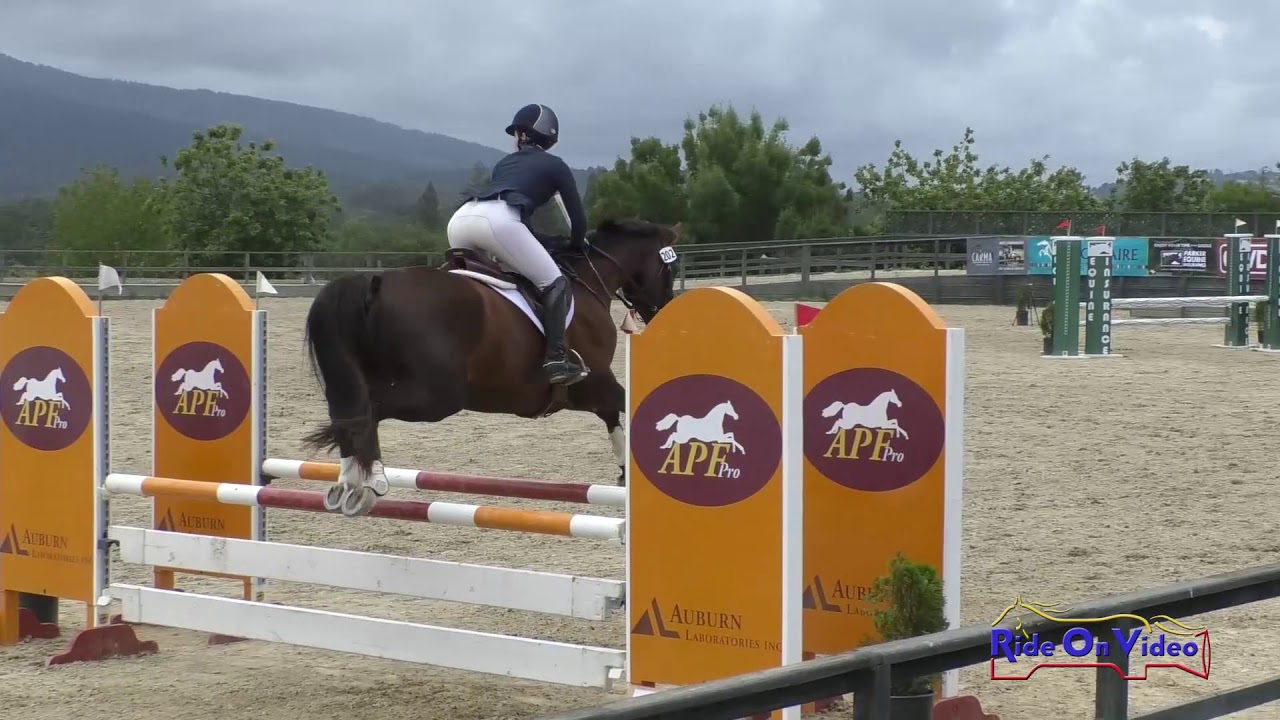 horseshoe bend 202S Adison LoPiccolo on Favoloso Training AM Show Jumping Woodside May 2019