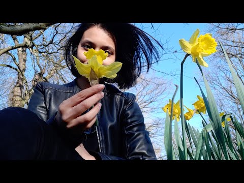 আপনি কি একজন নার্সিসিস্ট? Vlog 06: Story behind daffodil / narcissist flower (narcissism) | KKS