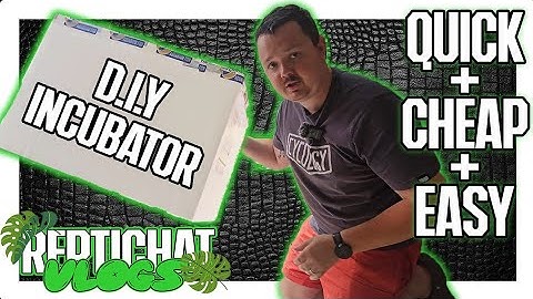 DIY Reptile Incubator - Cheap, Easy and Quick to build! Perfect for Reptile Eggs!