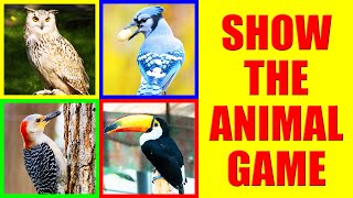 Show me the BIRD Game for Kids - Where is the bird? screenshot 2