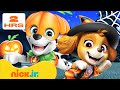 Patrulha Canina | Missões assustadoras da Patrulha Canina! 🎃🕷️ 120 min com Ryder! | Nick Jr.