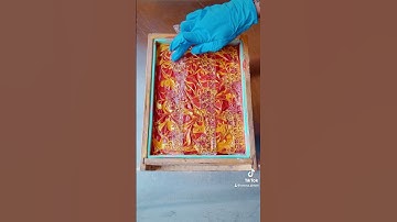 Cranberry Vanilla + 🍯 SOAP! #soapmaking #soaping #soapmaker #cpsoapmaking #soap #soaps #cpsoap