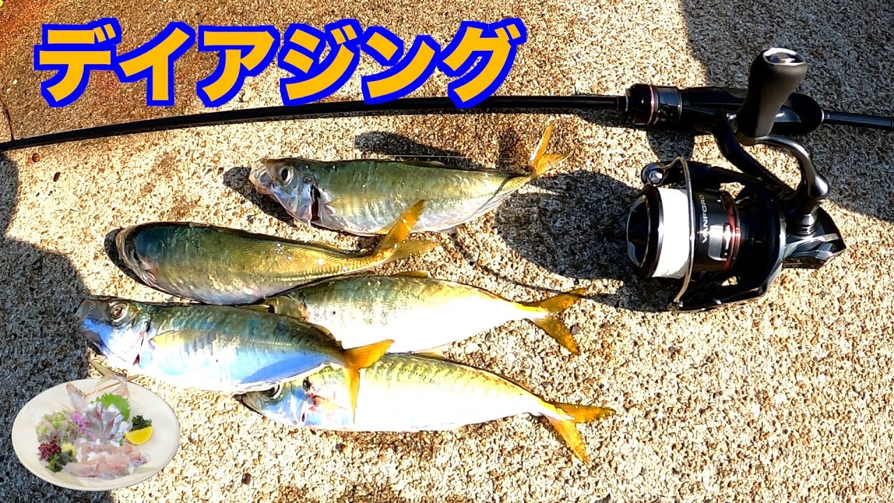 【アジング】【広島釣り】デイアジング！