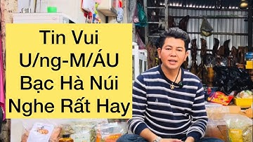102#Bạc Hà Núi Tin Vui Cho Người U/ng-T/h/ư-M/á/u.