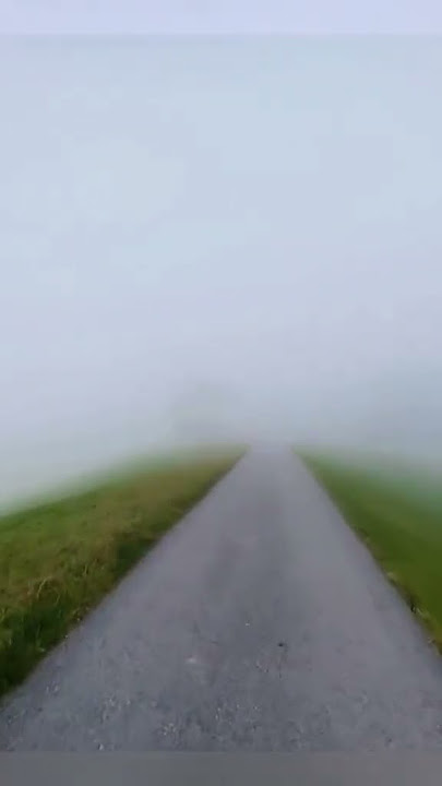 silent road with foggy #foggy #road #silent #youtubeshorts #tiktok