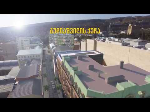 გუდიაშვილი-ფურცელაძის რეაბილიტაცია