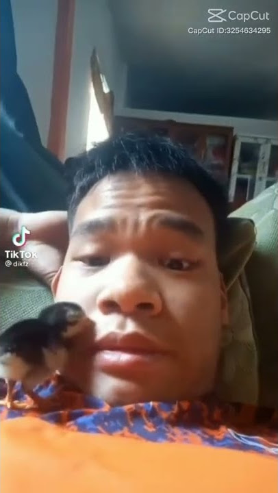 #meme #babiketu #ngakak