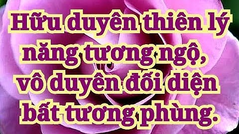 Hữu duyên thiên lý năng tương ngộ nghĩa là gì năm 2024