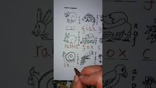 ANIMAL ANAGRAMS