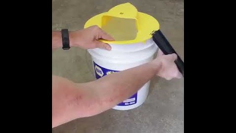 Flip N Slide Bucket Mouse Trap Best way to catch mouse rats mice learn how to catch mouse fast