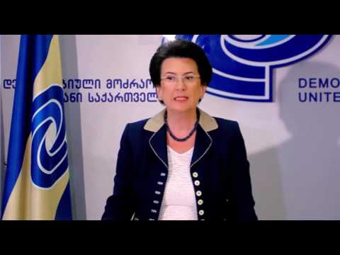 ნინო ბურჯანაძის ბრიფინგი სოფელ კორცხელში მომხდარ ფაქტზე 23.05.2016