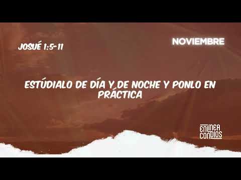 Día 16 - No te desanimes