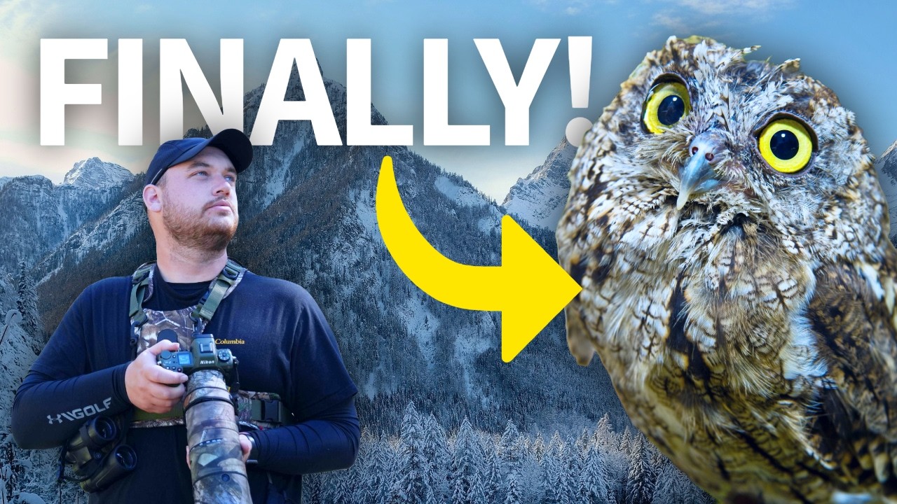 Winter Birding Utah's Frozen Alpine Forests!