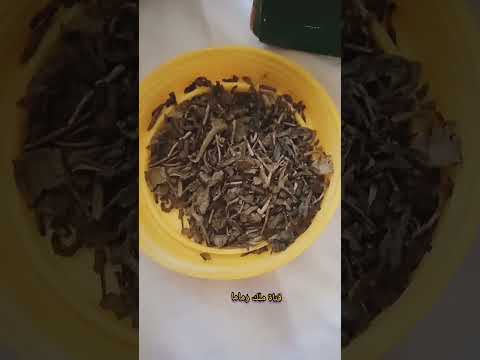 الطريقه الصحيحه لعمل الشاى الأخضر الصينى بكامل فوائده