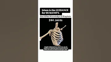Prophet Muhamad Saw Said Every One Of Children Of Adam Has Been Created With 360 Joints Followers 