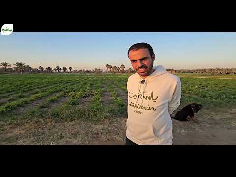 خالد الرومي بوسليمان مزرعة ياسمين لإنتاج الألبان