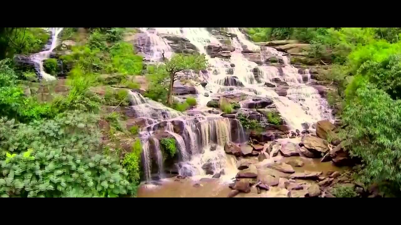 ผลกระทบการท่องเที่ยว