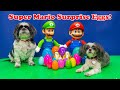 Assistant Opens Super Mario &amp; Princess Peach Surprise Eggs with Wiggles