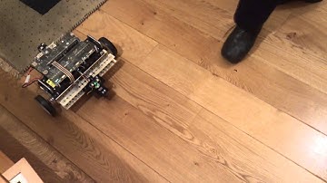 DaNI adaptive cruise control lead vehicle