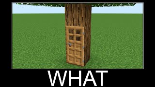 WAIT WHAT - Minecraft #79
