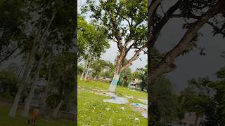 Mila Jo tara naina #shortvideo #shorts #shortsfeed #youtubeshorts #tarotreading song#@DiptiDnc,🥰❤️