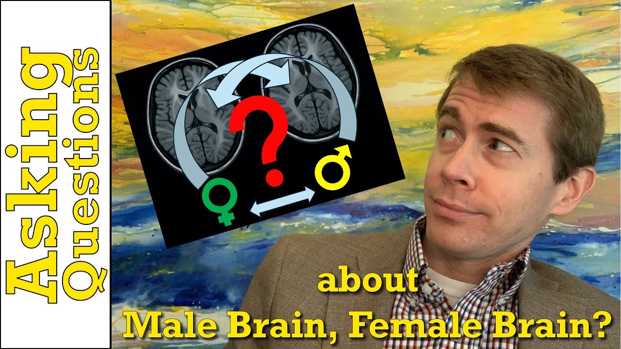 How Different Are Male and Female Brains? - YouTube