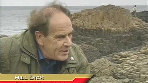 PATHWAYS 3 Unit 4 - The Giant