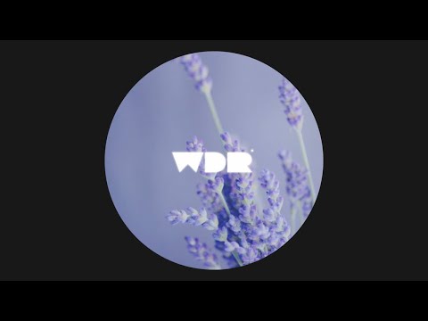 Sade - Feel No Pain (Mendy Edit)