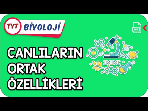 Biyoloji Bilimi ve Canlıların Ortak Özellikleri | Kamp2021      #YazKampı