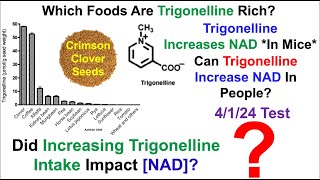 Increased NAD With Clover Sprouts