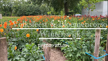 Preparation for Volksfeest & Bloemencorso Winterswijk