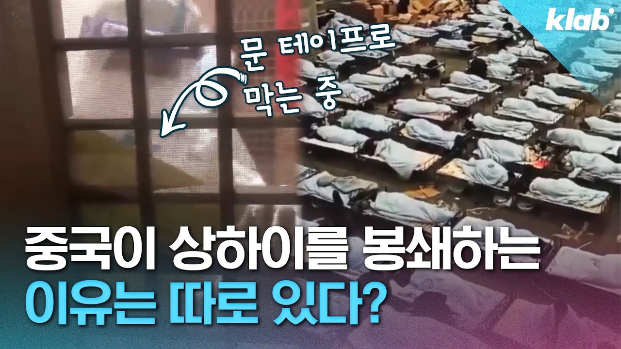 “2인 가구에 오이 하나?”...한국인 유학생이 말하는 극한의 상하이 상황;;｜크랩