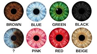 Every Type of Eye Color Explained in 6 Minutes