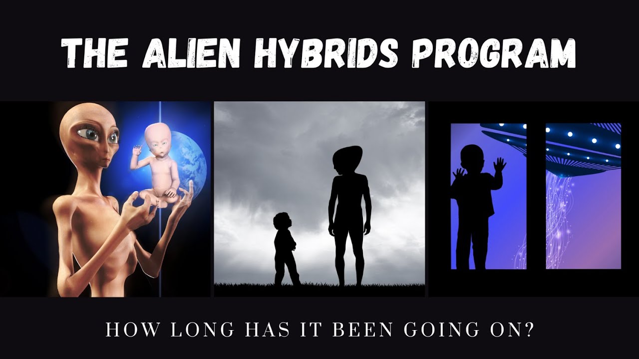 How Long Has The Alien Hybrids Program Been Going On?