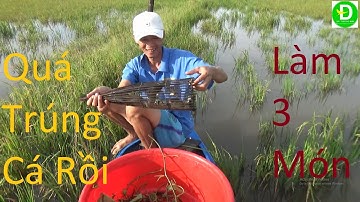 198   Đặc Xà Di - Giăng Lưới - Trúng Cá Rô - Thấy Là Ham - Thời Tiết Bảo Số 5 | Đất Phương Nam