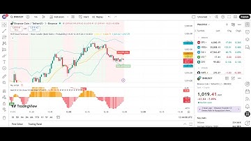 This Pine Script Predicts the Next Candle with Precision ⚡ (Full Tutorial)