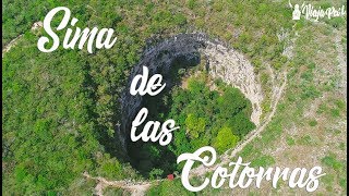 Sima de las Cotorras en Chiapas. Ocozocuautla