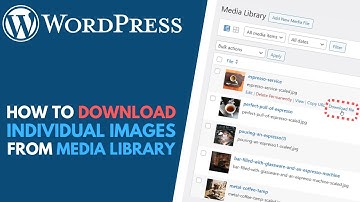 WordPress: How to Download Individual Images from the Media Library