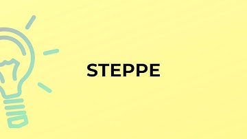 What is the meaning of the word STEPPE?