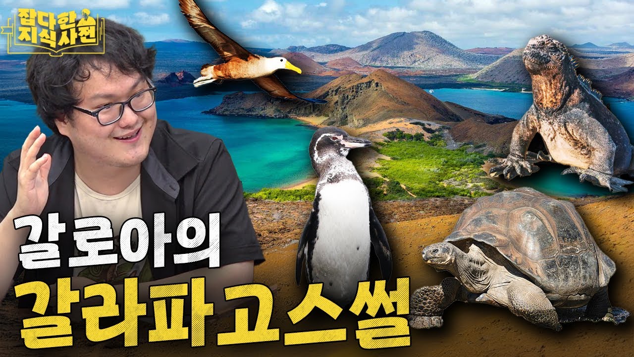 200살 거북, 자기 위로 하는 이구아나... 갈라파고스엔 특별한 것이 있다🐢🦎